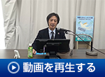動画を再生する